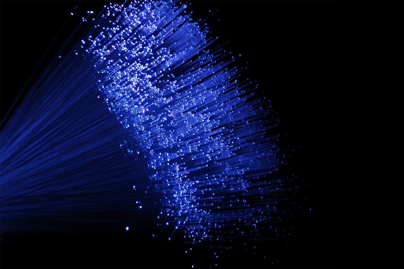 Blue fiber optic strands emitting a luminous glow against a black background, illustrating advanced technology in data transmission.